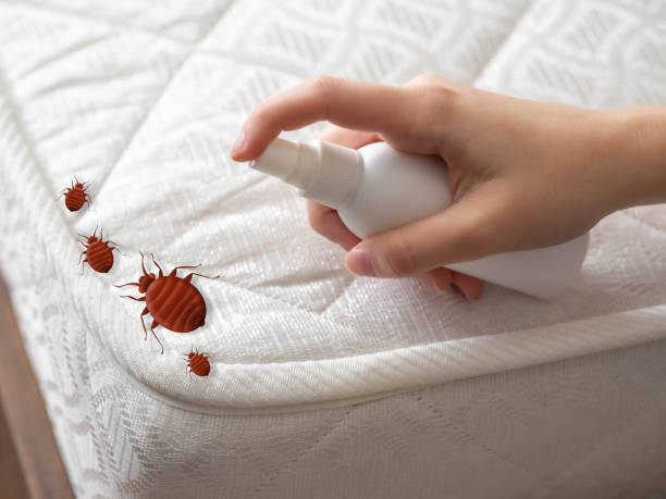 Best Pest Prevention Services  in Flanders, NY